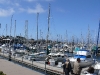 P1010595.JPG